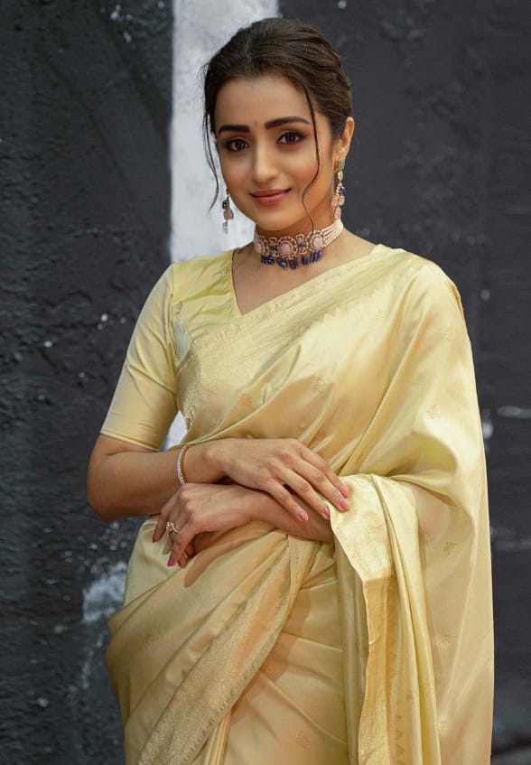 இந்த நிலையில் சமீப காலமாக இன்ஸ்டாகிராம் ஸ்டோரியில் திருமண உடையில் புகைப்படங்களை பதிவிட்டு வந்தார் திரிஷா. இதனை நோட்டமிட்ட நெட்டிசன்கள் திரிஷாவிற்கு திருமணம் ஆசை வந்ததாகவும் , அவர் இன்னும் சில நாட்களில் திருமணம் செய்ய போவதாகவும் வதந்திகளை பரப்பி வந்தனர்.