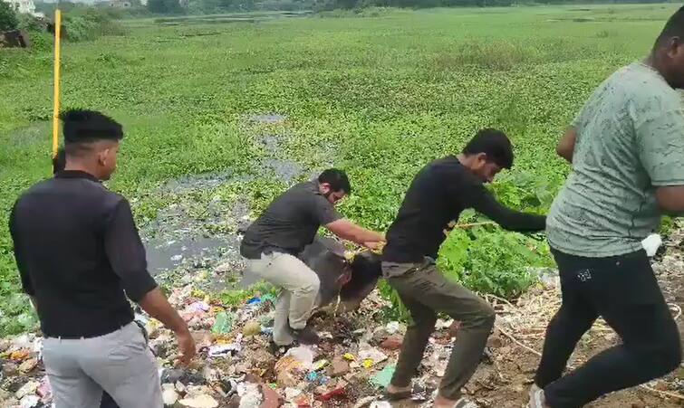 Mahisagar Cow Rescue: lunawada fire bridge team and police team done Cow Rescue from lake in mahisagar Rescue: પાણી પીવા ગયેલી ગાયને મગરે તરાપ મારીને તળાવમાં ખેંચી લીધી, પછી દિલધડક રેસ્ક્યૂથી બચાવાઇ, જુઓ Video
