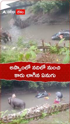 నదిలో నుంచి కారును బయటకు లాగిన ఏనుగు