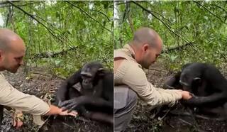 Viral Video: ਆਦਮੀ ਨੇ ਆਪਣੇ ਹੱਥਾਂ ਨਾਲ ਚਿੰਪਾਂਜ਼ੀ ਨੂੰ ਪਿਲਾਇਆ ਪਾਣੀ, ਜਾਨਵਰ ਨੇ ਇਸ ਤਰ੍ਹਾਂ ਚੁਕਾਇਆ ਬਦਲਾ, ਆਨੰਦ ਮਹਿੰਦਰਾ ਨੇ ਸ਼ੇਅਰ ਕੀਤੀ ਵੀਡੀਓ