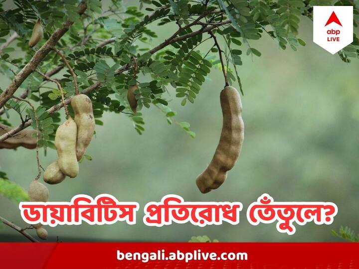 Benefits of Tamarind: কাঁচা তেঁতুল গরম করে আঘাতপ্রাপ্ত জায়গায় দিলে ব্যথা কমে।