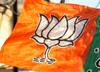 Lok Sabha Elections: मिशन 2024 के लिए BJP का सोशल मीडिया इन्फ्लुएंसर और फूड ब्लॉगर्स वाला प्लान तैयार, जानें- क्या है रणनीति?