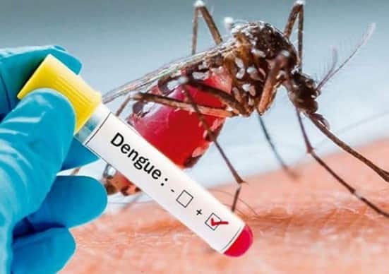 Dengue Fever 46 dengue patients were found in Jalna Two suspected patients died Health Department Alert Knoe details Dengue Fever : जालन्यात डेंग्यूचे 46 रुग्ण, दोन संशयित रुग्णांचा मृत्यू; आरोग्य विभाग अलर्ट मोडवर