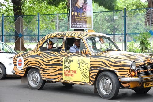 গল্পের প্রেক্ষাপট উত্তর ভারতের একটি ছোট্ট গ্রাম। সেখানে বাঘের হাতে প্রায়শই নিহত হতে হয় গ্রামবাসীদের। কিন্তু সত্যিই কি এই সমস্ত ঘটনা নিছক কাকতালীয় নাকি এর মধ্যে রয়েছে কোনও মারাত্মক পরিকল্পনা?