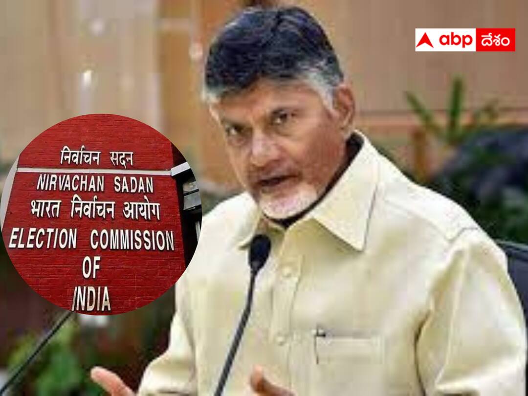 AP Fake Votes : దొంగ ఓట్లు, ఓట్ల తొలగింపుపై టీడీపీ పోరాటం - 28న ఢిల్లీకి చంద్రబాబు ! TDP has decided to complain to the EC about the irregularities in the voter list. AP Fake Votes : దొంగ ఓట్లు, ఓట్ల తొలగింపుపై టీడీపీ పోరాటం - 28న ఢిల్లీకి చంద్రబాబు !
