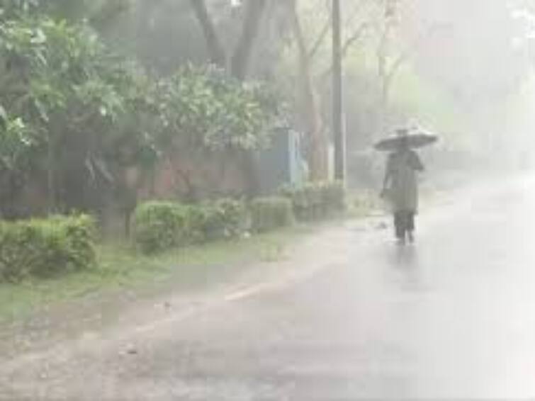 Chance of rain in 15 districts in next 3 hours in Tamil Nadu weather report Rain Alert :தமிழகத்தில் அடுத்த 3 மணி நேரத்தில் 15 மாவட்டங்களில் மழைக்கு வாய்ப்பு... எந்தெந்த மாவட்டங்களில்?
