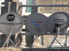 TRAI ने की सिफारिश, DTH ऑपरेटरों से न लिया जाए लाइसेंस शुल्क; बताई ये वजह