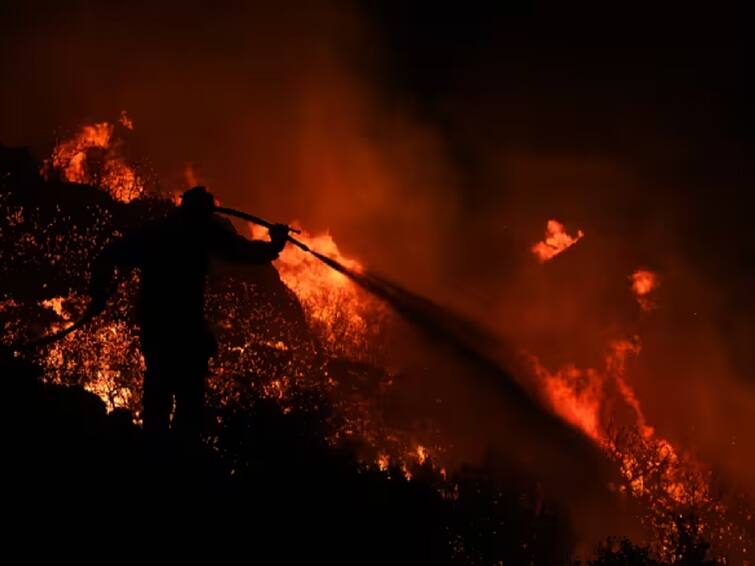 Greece Wildfire Several Bodies Found In Forest Close To Turkey Border Evros North Greece Wildfire: గ్రీస్‌లో చెలరేగిన కార్చిచ్చు, టర్కీ సరిహద్దు సమీపంలో 18 మృతదేహాలు లభ్యం