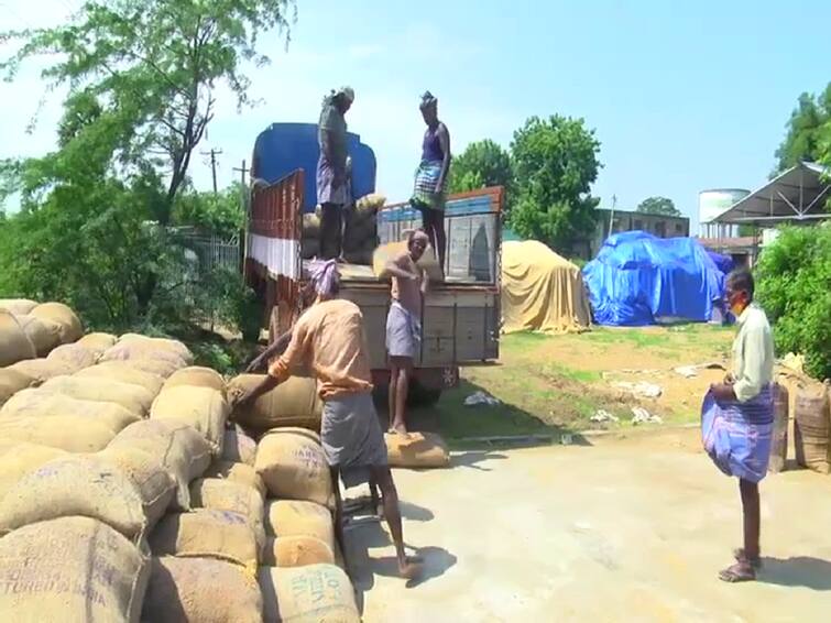 Purchase of 8 lakh 30 thousand MT paddy in last one year in Tiruvarur district TNN திருவாரூர் மாவட்டத்தில் கடந்த ஓராண்டில் 8 லட்சத்து 30 ஆயிரம் மெ.டன் நெல் கொள்முதல்