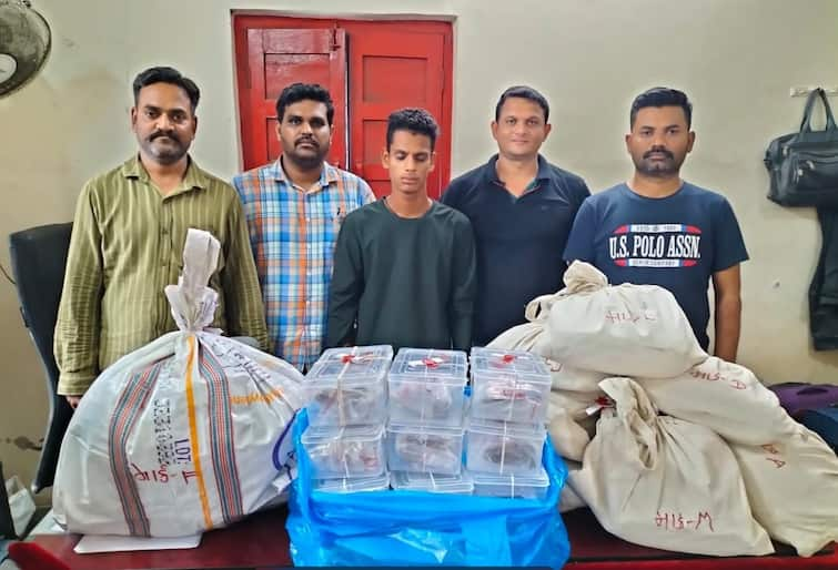 cannabis worth rs 3 lakh from odisha caught surat station  Surat: 33 કિલો ગાંજા સાથે સુરત ટ્રેનમાં આવેલા આરોપીને ક્રાઈમ બ્રાંચે ઝડપી લીધો, 3 લાખથી વધુનો મુદ્દામાલ કબજે કર્યો 