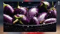 Brinjal side effects: ਬੈਂਗਣ ਦੇ ਸ਼ੌਕੀਨ ਸਾਵਧਾਨ! ਇਹ ਲੋਕ ਗਲਤੀ ਨਾਲ ਵੀ ਨਾ ਖਾਣ ਬੈਂਗਣ...ਨਹੀਂ ਤਾਂ...