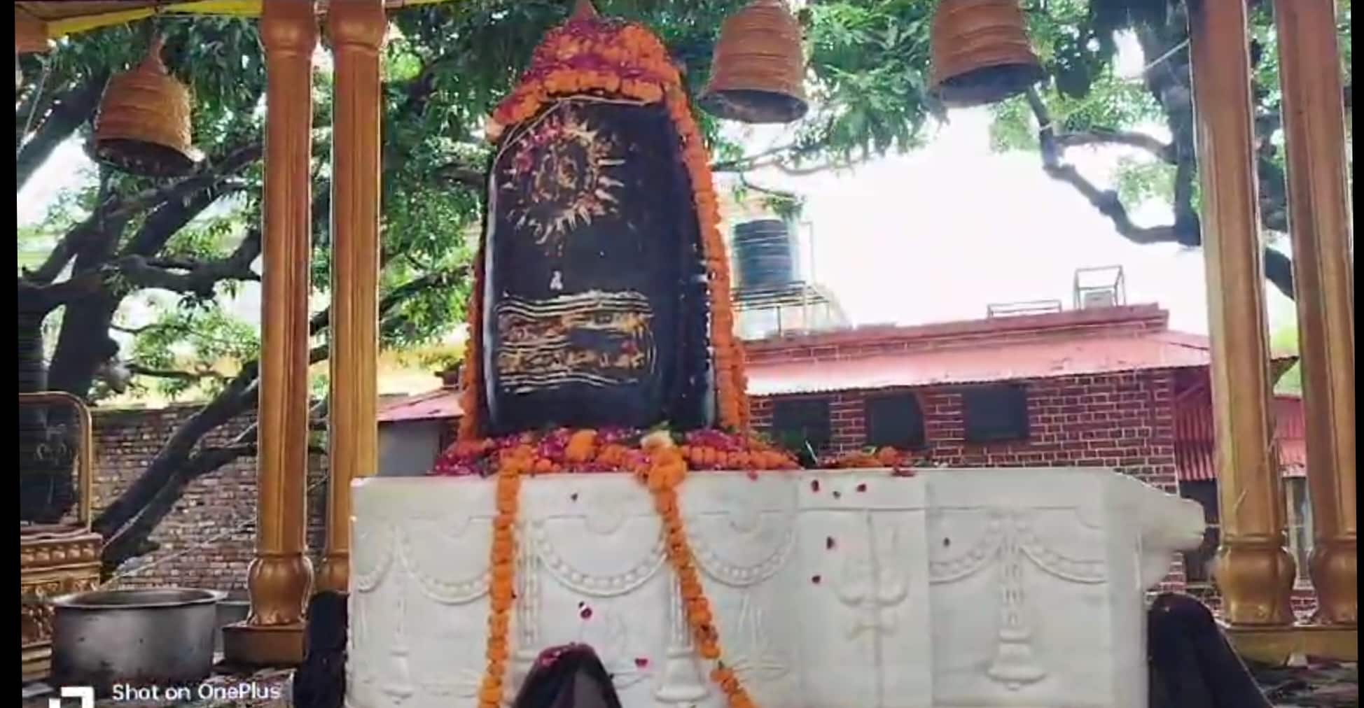 Ram Mandir: ओंकारेश्वर से विशेष रथ पर अयोध्या लाया गया 600 किलो का शिवलिंग, राम मंदिर में होगा स्थापित