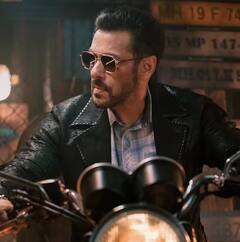 Tere Naam Fact: બોલિવૂડના આ એક્ટરને ઓફર થઇ હતી Tere Naam , જાણો કેવી રીતે સલમાન ખાન બન્યો 'રાધે'