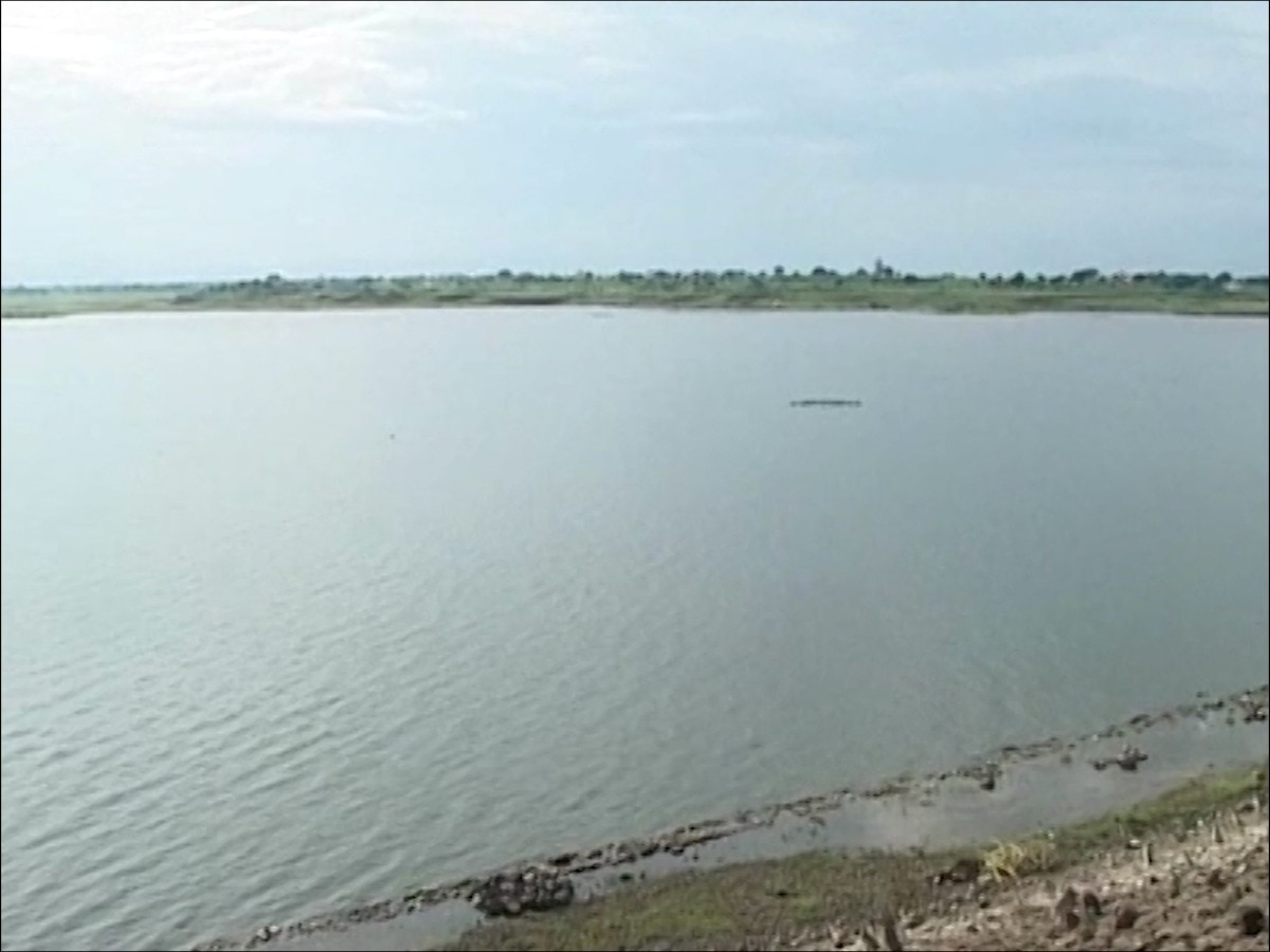 Beed Manjra Dam Water Level: पाणीटंचाईचं संकट! अर्धा पावसाळा संपला तरी, मांजरा धरणात पाण्याची आवक नाहीच; धरणात केवळ 25 टक्केच पाणीसाठा