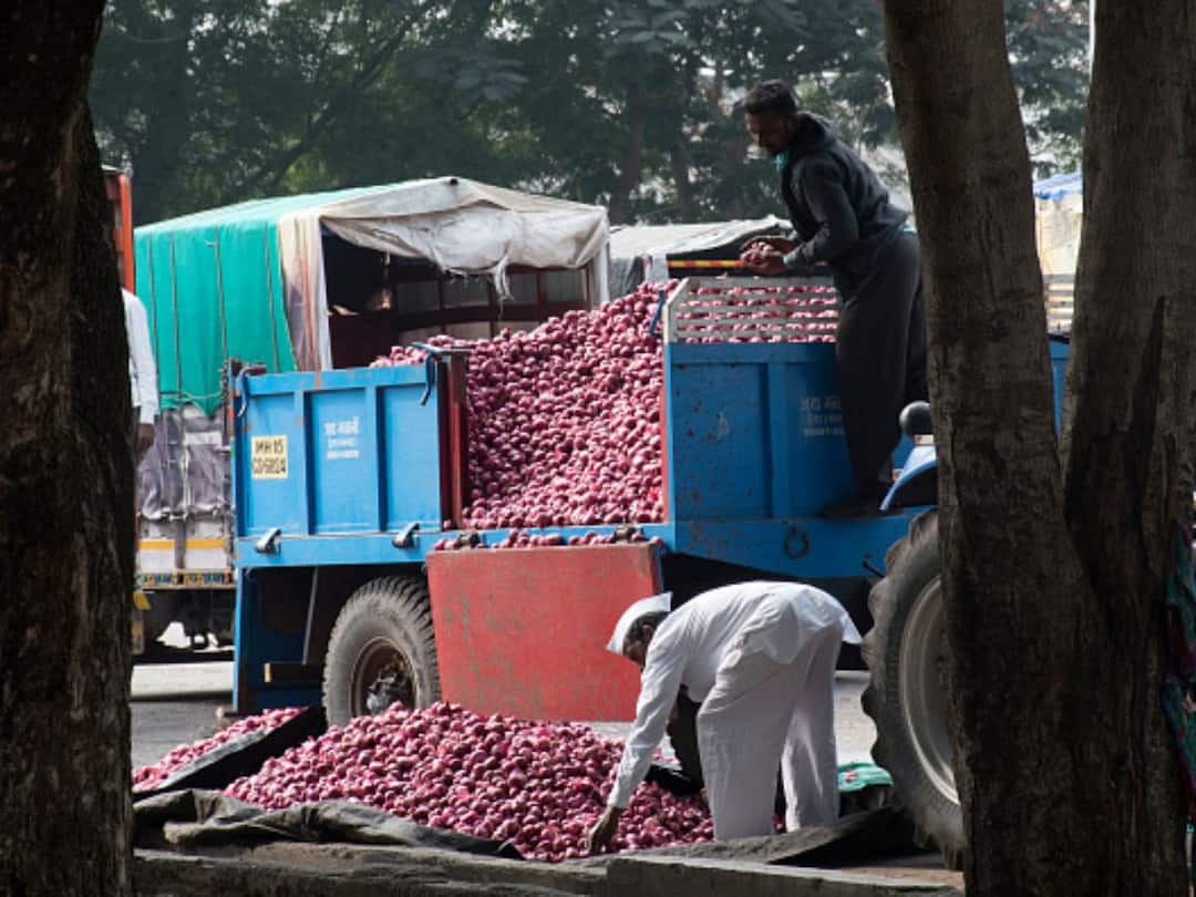 Auctions At Some APMCs In Nashik Remain Disrupted, Traders And Farmers Demand Export Duty Rollback Auctions At Some APMCs In Nashik Remain Disrupted, Traders And Farmers Demand Export Duty Rollback