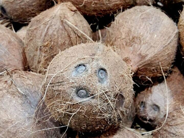 एकाक्षी नारियल - सावन पूर्णिमा को नारियल पूर्णिमा भी कहते हैं. पुराणों के अनुसार नारियल में मां लक्ष्मी का वास माना गया है. इस दिन घर या दुकान में एकाक्षी नारियल रखने से दरिद्रता आसपास भी नहीं भटकती, अपार धन लाभ होता है. तिजोरी हमेशा भरी रहती है.