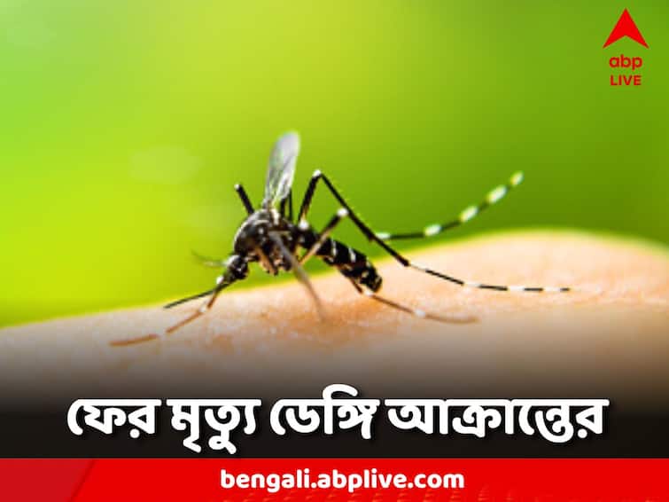 WB Dengue Update Another dengue patient died in Kolkata Dengue Death: কলকাতায় ফের ডেঙ্গি আক্রান্তর মৃত্যু