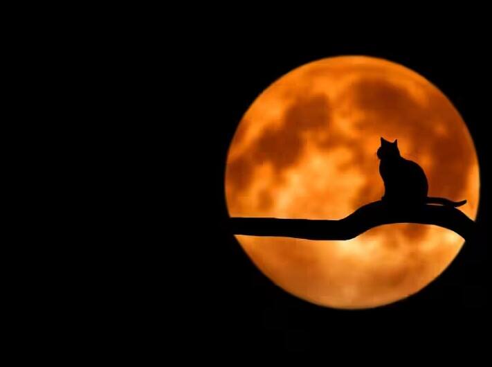 चंद्रावर असलेले इम्पॅक्ट क्रेटर म्हणजे खोल खड्डे आतापर्यंत चार अब्ज वर्षांपूर्वी खगोलीय पिंडांची टक्कर झाल्यांने बनले आहेत.