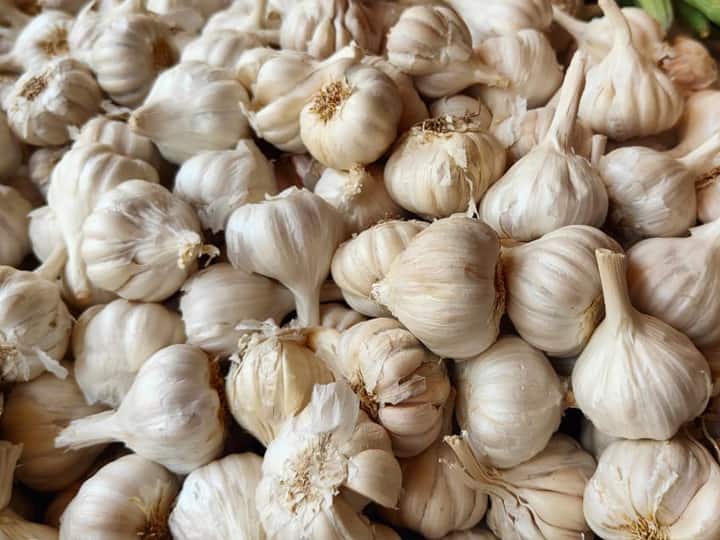 Garlic price at series high in Villupuram district TNN பூண்டு விலை எவ்வளவு தெரியுமா ? -  நாளுக்குநாள் அதிகரிக்கும் லை