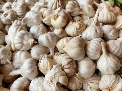 Garlic price at series high in Villupuram district TNN பூண்டு விலை எவ்வளவு தெரியுமா ? -  நாளுக்குநாள் அதிகரிக்கும் லை