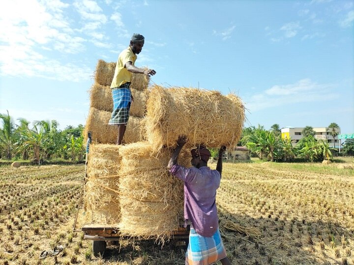 கும்பகோணத்தில் புல் விற்பனை அமோகம்: தேங்கி கிடக்கும் வைக்கோல் கட்டுகள்  - விவசாயிகள் வேதனை