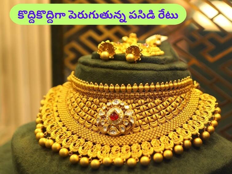 Latest Gold Silver Price Today 23 August 2023 know rates in your city Telangana Hyderabad Andhra Pradesh Amaravati Latest Gold-Silver Price 23 August 2023: పట్టు బిగిస్తున్న పసిడి - ఇవాళ బంగారం, వెండి కొత్త ధరలు ఇవి