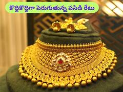 పట్టు బిగిస్తున్న పసిడి - ఇవాళ బంగారం, వెండి కొత్త ధరలు ఇవి