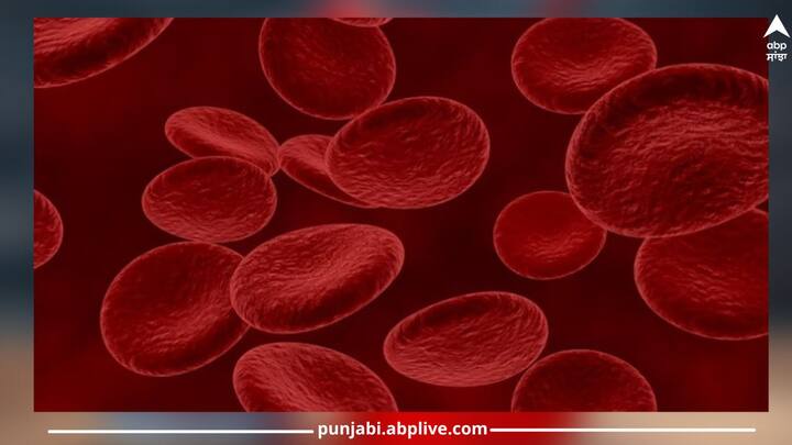 How To Increase Platelets: ਮੱਛਰ ਦੇ ਕੱਟਣ ਨਾਲ ਡੇਂਗੂ ਮਲੇਰੀਆ ਵਰਗੀਆਂ ਗੰਭੀਰ ਬਿਮਾਰੀਆਂ ਹੋ ਸਕਦੀਆਂ ਹਨ, ਜਿਸ ਵਿੱਚ ਖੂਨ ਦੇ ਪਲੇਟਲੈਟਸ ਦੀ ਗਿਣਤੀ ਘਟਣ ਲੱਗਦੀ ਹੈ..