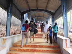 భక్తులు గుంపులుగా వెళ్లాలి, తిరుమల అడవిలో 40 చిరుతలు - సీసీఎఫ్