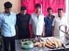 Assam: Cops Nab Poachers, Recover Animal Body Parts In Joint Op With Wildlife Crime Control Bureau