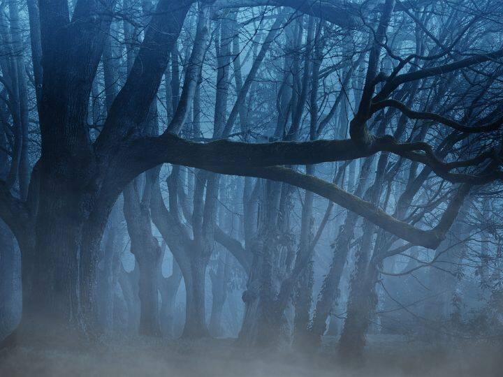 ये है धरती की सबसे जहरीली जगह, इंसान तो क्या जानवर भी जाने से डरते हैं most poisonous place on earth even humans and animals are afraid to go ये है धरती की सबसे जहरीली जगह, इंसान तो क्या जानवर भी जाने से डरते हैं