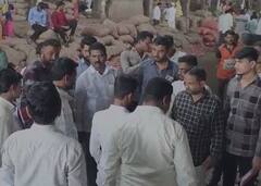 सोलापूर कृषी उत्पन्न बाजार समितीत कांद्याचे लिलाव सुरु, आवक घटली