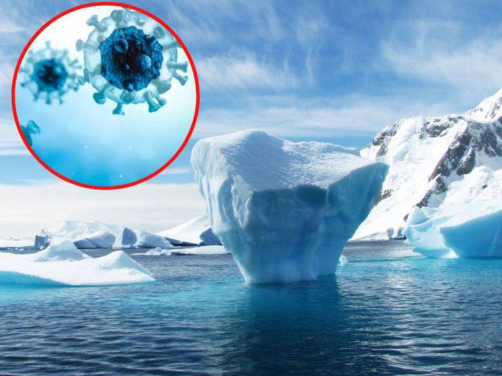fear of another epidemic after corona viruses are coming alive due to melting ice in the arctic nasa research revealed New Virus: मानवाने हे काय केलं? लाखो वर्षांपूर्वीचा व्हायरस पुन्हा होणार जिवंत; पृथ्वीचा होणार विनाश