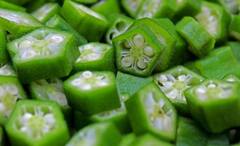 Okra Water: সেদ্ধ বা তরকারি খেতে আপত্তি! ঢ্যাঁড়শ ভেজানো জল পান করুন, বদলে যাবে শরীর