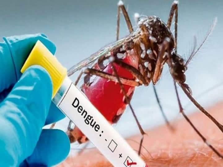 Indian Immunologicals Limited expects to lauch Dengue Vaccine By January 2026 Dengue Vaccine: டெங்கு காய்ச்சலுக்கு முற்றுப்புள்ளி.. 2026ஆம் ஆண்டுக்குள் தடுப்பூசி.. இந்திய மருந்து நிறுவனம் அதிரடி