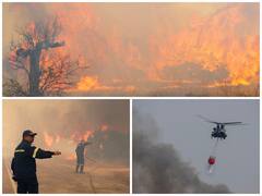 Wildfires Continue To Ravage Greece, Prompt Widespread Evacuations. See Pics