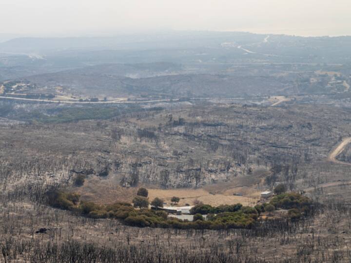 Wildfires are also now spreading in neighboring Turkey, with Euronews reporting 1,200 people have been ordered to evacuate. (Source: Getty)