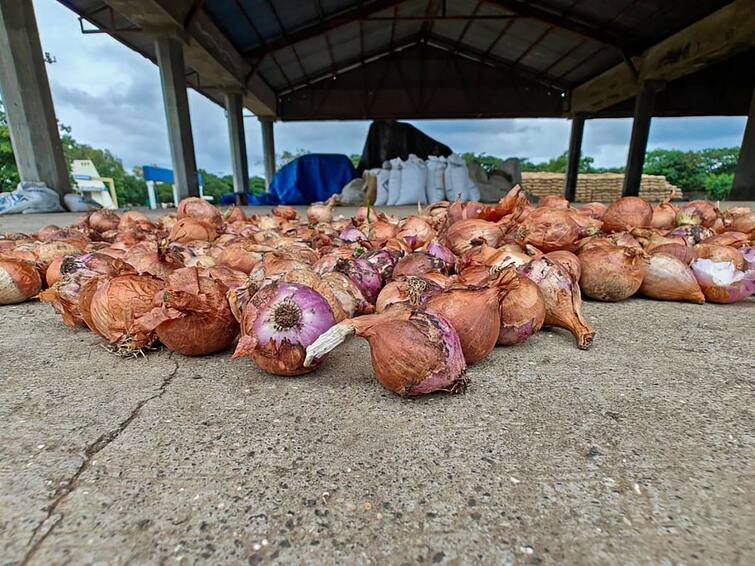 Nashik Latest News Strike of onion traders will continue, decision of Nashik District Onion Traders Association Maharashtra news Nashik News : तोपर्यंत कांदा व्यापाऱ्यांचा संप सुरूच राहील, नाशिक जिल्ह्यातील कांदा व्यापारी भूमिकेवर ठाम, आजही लिलाव बंदच