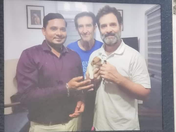 Jack Russell Terrier type of dogs attracted Rahul Gandhi! தேடிக்கண்டுபிடித்து ஆசை ஆசையாய் ராகுல்காந்தி வாங்கிய நாய்க்குட்டி! - என்ன வகை தெரியுமா?