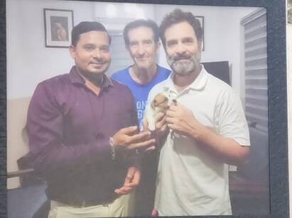 Jack Russell Terrier type of dogs attracted Rahul Gandhi! தேடிக்கண்டுபிடித்து ஆசை ஆசையாய் ராகுல்காந்தி வாங்கிய நாய்க்குட்டி! - என்ன வகை தெரியுமா?