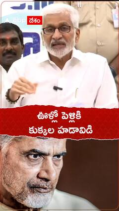 టీడీపీ నాయకులపై విజయసాయిరెడ్డి విమర్శలు