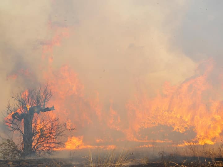 Wildfires continued to spread throughout Greece. In this image, the fire can be seen near village of Dikella in Alexandroupolis. Greece's largest forest fire is now raging for the fourth day. (Source: Getty)