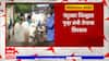 Nandurbar : नंदुरबार जिल्ह्यात पुन्हा लंपी रोगाचा शिरकाव, रोगामुळे जिल्ह्यात लसीकरणाला वेग Abp Majha