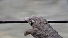 Health News:অবসরের জীবনেও যেন অলস না থাকে মস্তিস্ক