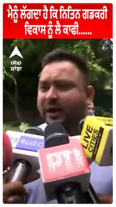 Tejashwi Yadav : ਮੈਨੂੰ ਲੱਗਦਾ ਹੈ ਕਿ ਨਿਤਿਨ ਗਡਕਰੀ ਵਿਕਾਸ ਨੂੰ ਲੈ ਕਾਫੀ......