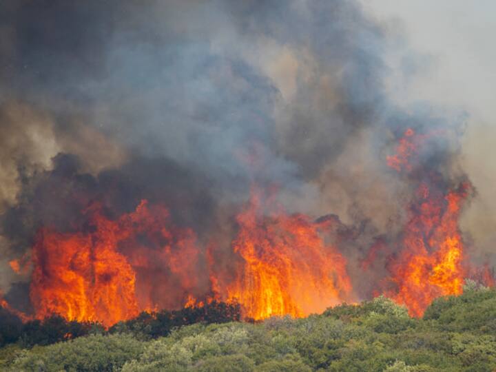 In the past seven days, 355 wildfires have broken out, Climate Crisis and Civil Protection Minister Vassilis Kikilias said. Twenty people have died in the wildfires, believed to be migrants who came into the country through Turkey, according to Reuters. (Source: Getty)