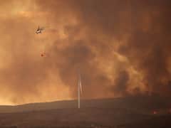 Wildfires Continue To Ravage Greece, Prompt Widespread Evacuations. See Pics