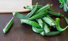 Okra Water: সেদ্ধ বা তরকারি খেতে আপত্তি! ঢ্যাঁড়শ ভেজানো জল পান করুন, বদলে যাবে শরীর