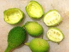 इस जंगली सब्जी की खेती करके किसान ने कमाए लाखों रुपये, कई राज्यों में है भारी मांग