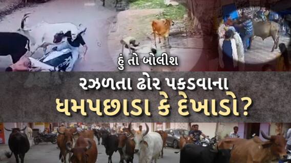 Hun To Bolish | હું તો બોલીશ | રઝળતા ઢોર પકડવાના ધમપછાડા કે દેખાડો?